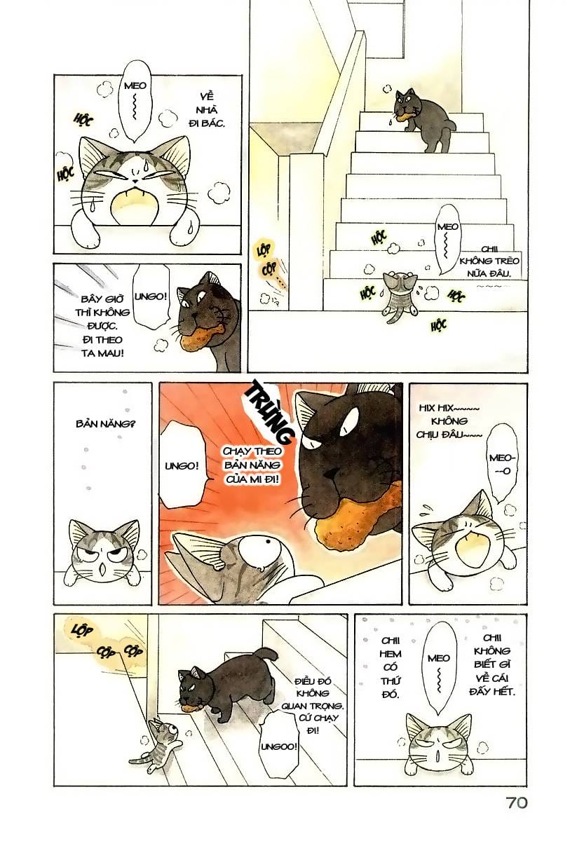 Truyện Tranh Mái Ấm Của Chi - Chii’s Sweet Home trang 3