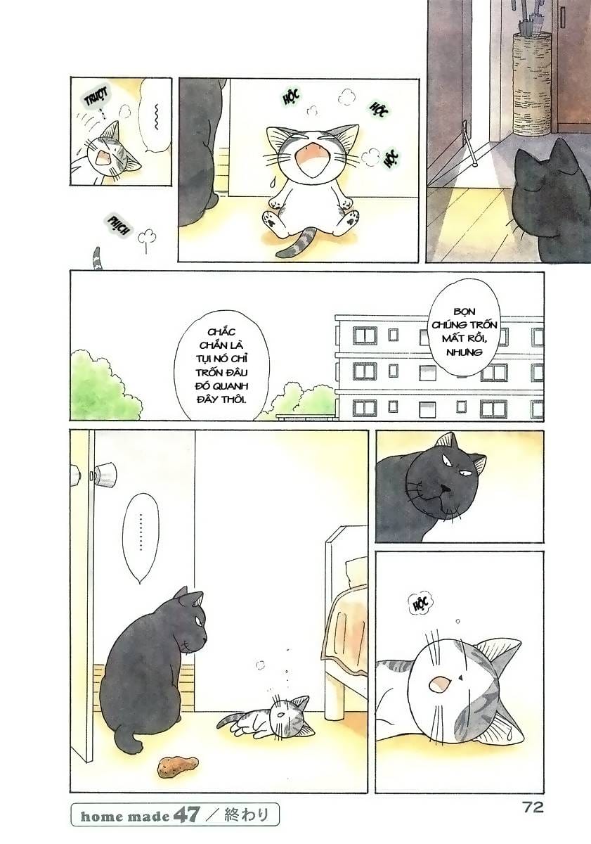 Truyện Tranh Mái Ấm Của Chi - Chii’s Sweet Home trang 3