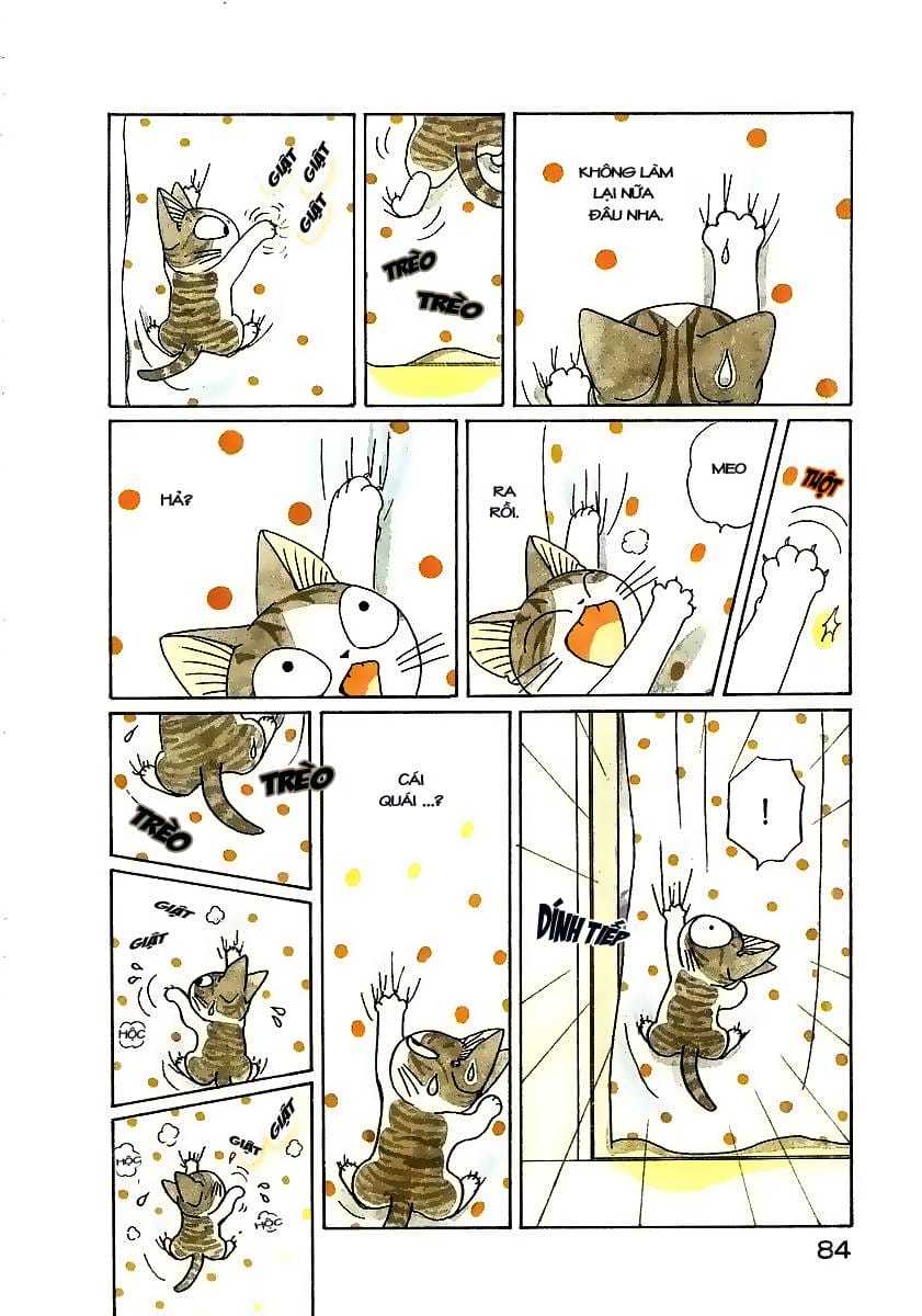 Truyện Tranh Mái Ấm Của Chi - Chii’s Sweet Home trang 3