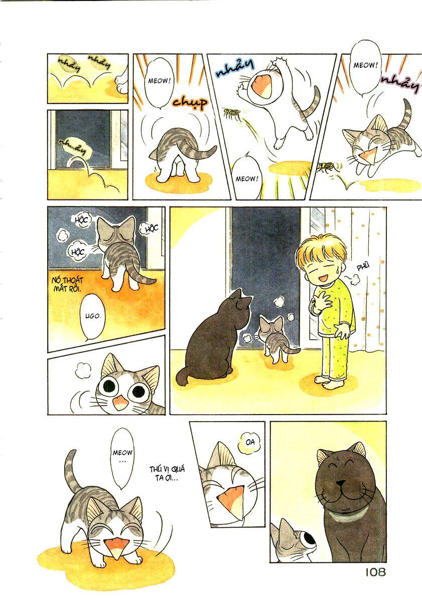 Truyện Tranh Mái Ấm Của Chi - Chii’s Sweet Home trang 3
