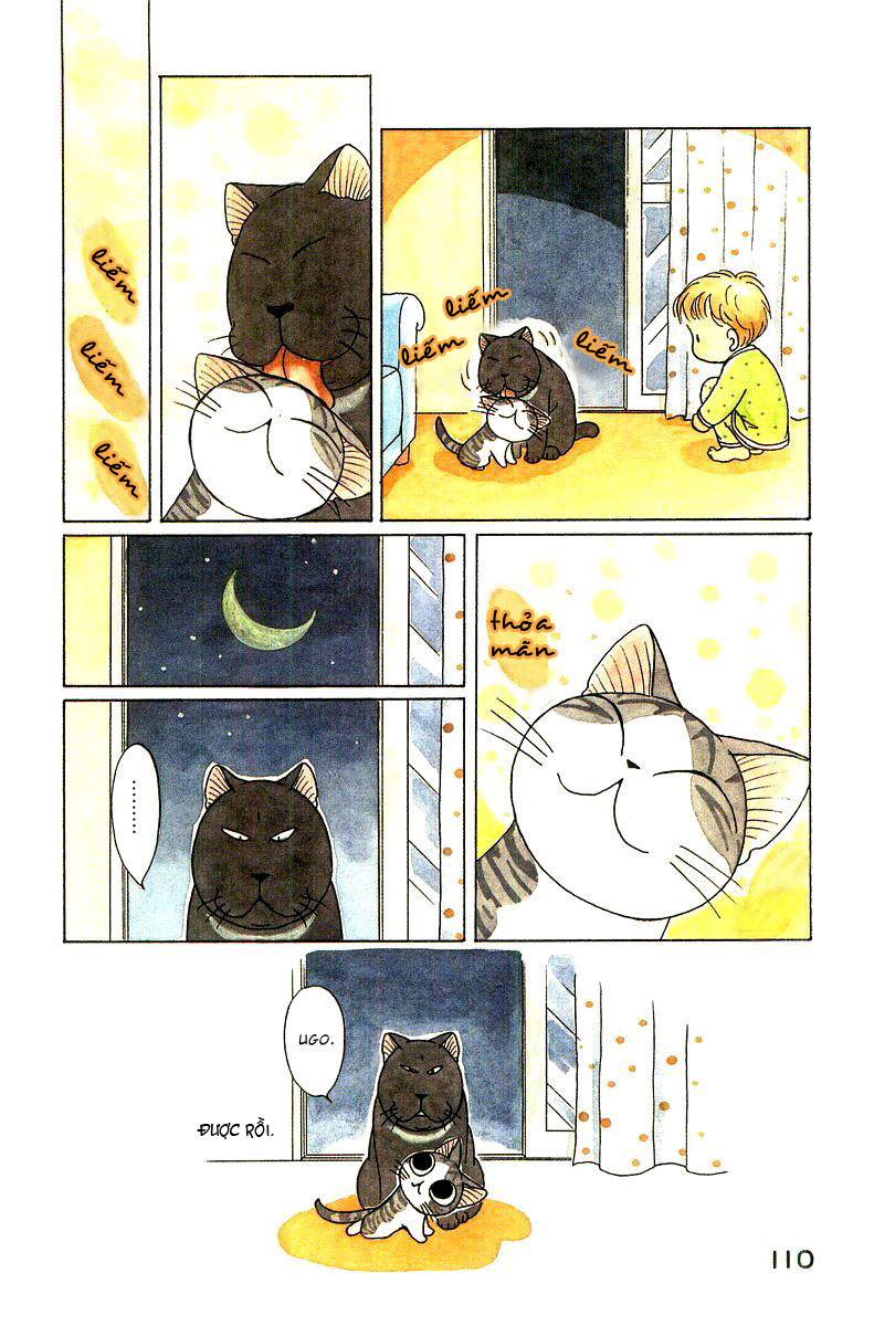 Truyện Tranh Mái Ấm Của Chi - Chii’s Sweet Home trang 3