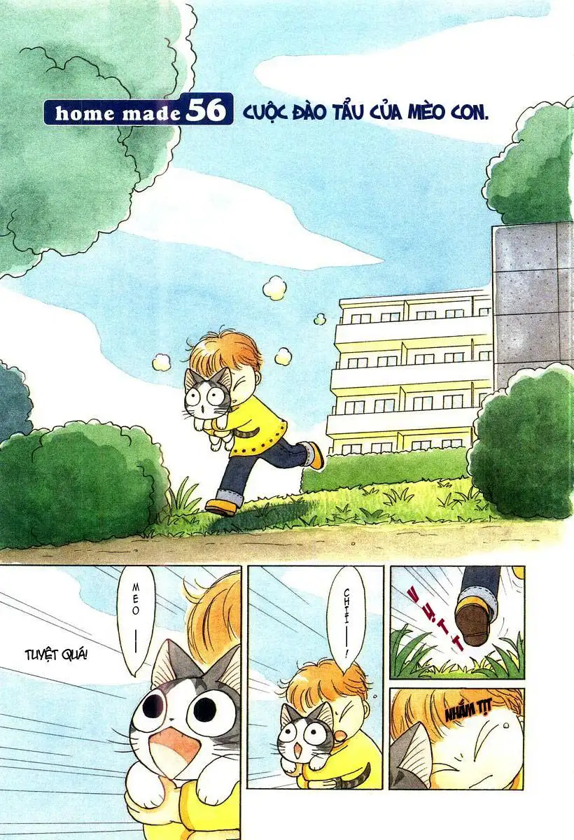 Truyện Tranh Mái Ấm Của Chi - Chii’s Sweet Home trang 3