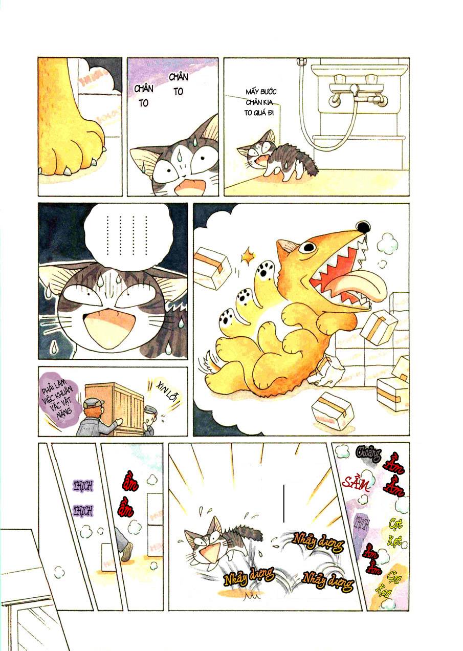 Truyện Tranh Mái Ấm Của Chi - Chii’s Sweet Home trang 3