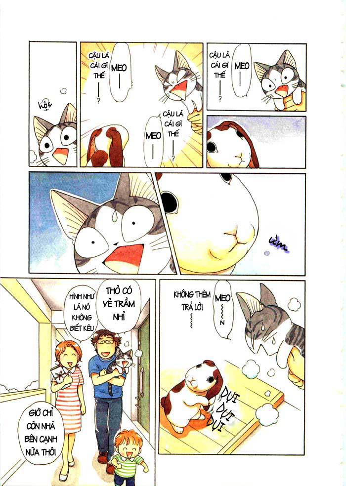Truyện Tranh Mái Ấm Của Chi - Chii’s Sweet Home trang 3