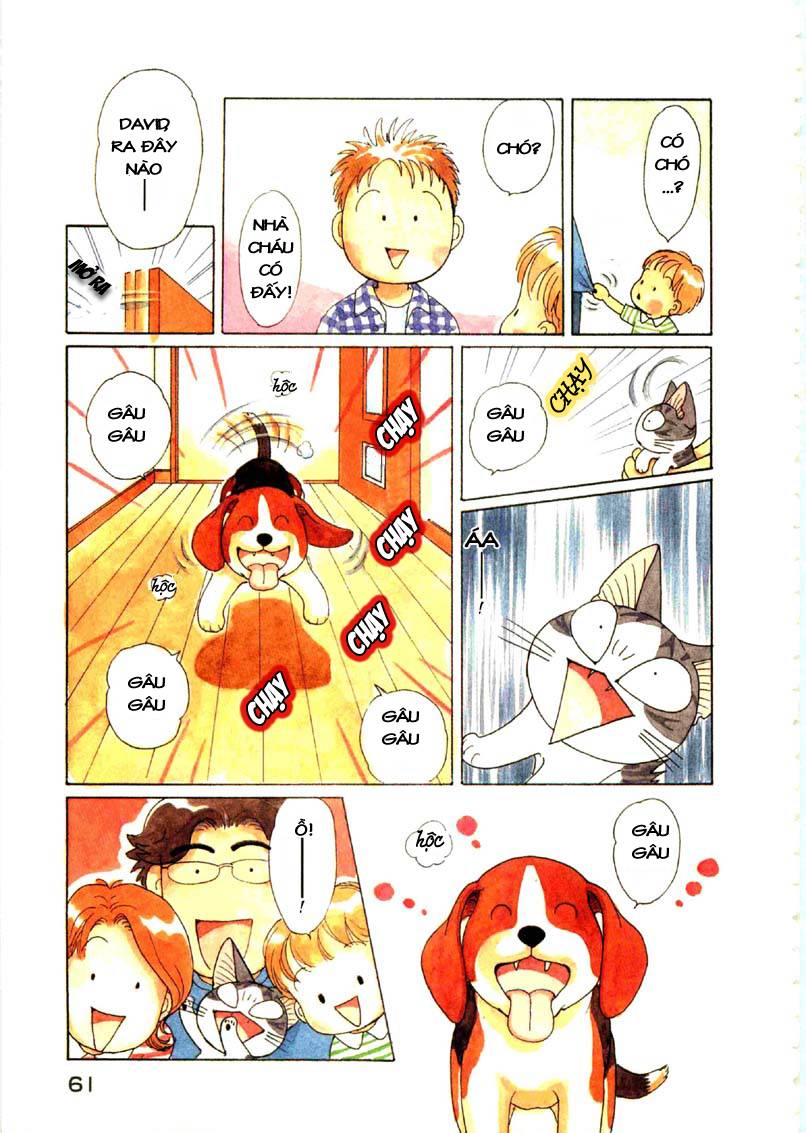 Truyện Tranh Mái Ấm Của Chi - Chii’s Sweet Home trang 3