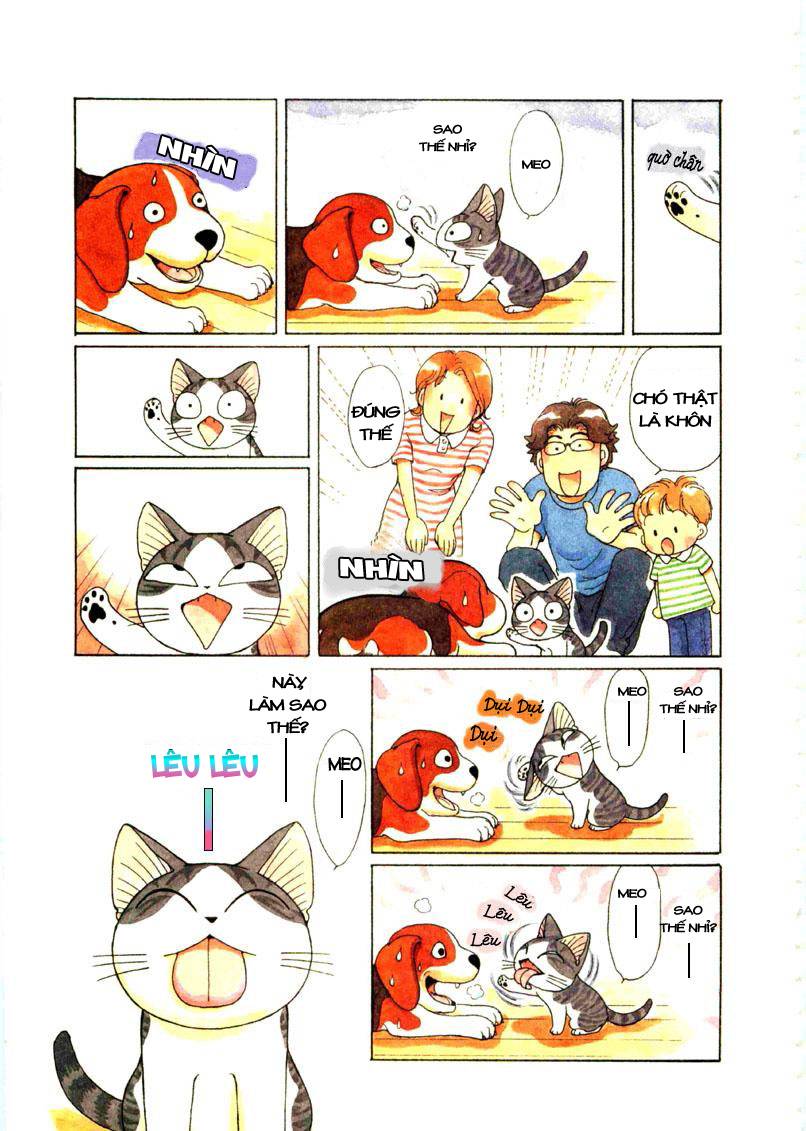 Truyện Tranh Mái Ấm Của Chi - Chii’s Sweet Home trang 3
