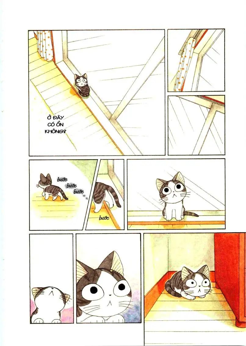 Truyện Tranh Mái Ấm Của Chi - Chii’s Sweet Home trang 3