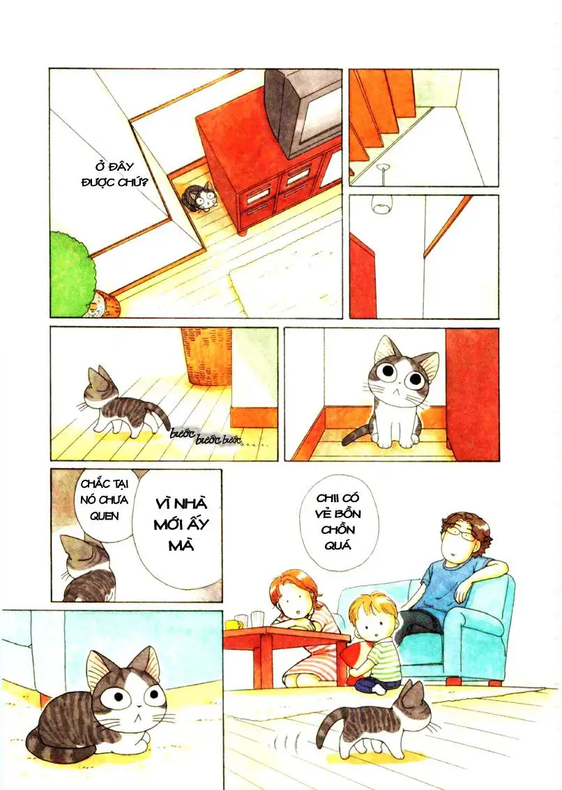 Truyện Tranh Mái Ấm Của Chi - Chii’s Sweet Home trang 3
