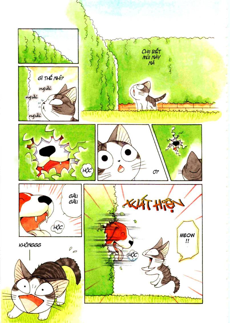 Truyện Tranh Mái Ấm Của Chi - Chii’s Sweet Home trang 3