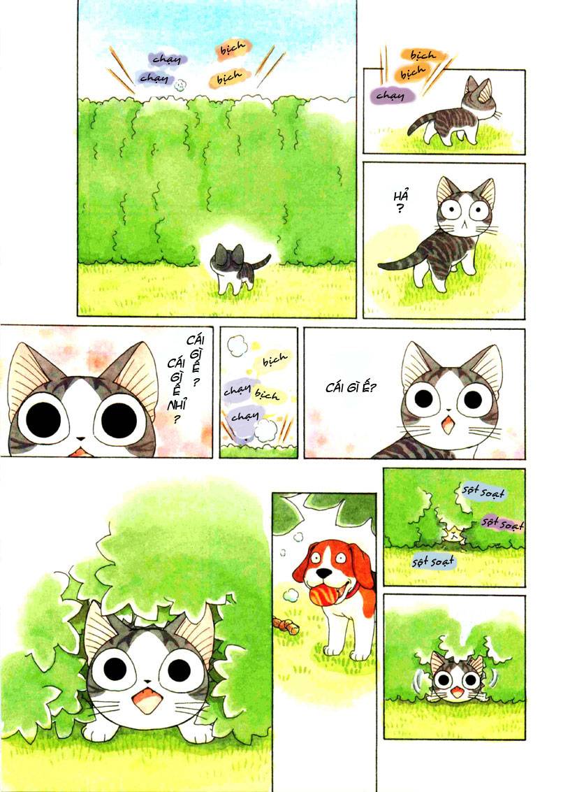 Truyện Tranh Mái Ấm Của Chi - Chii’s Sweet Home trang 3