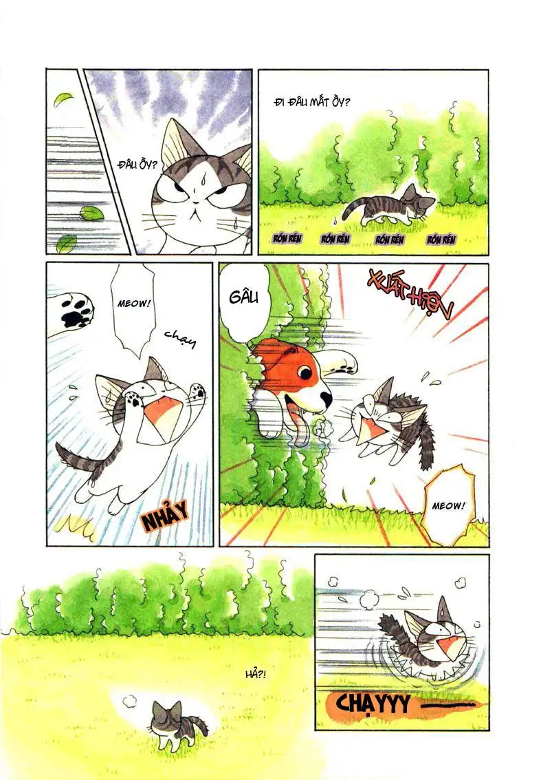 Truyện Tranh Mái Ấm Của Chi - Chii’s Sweet Home trang 3