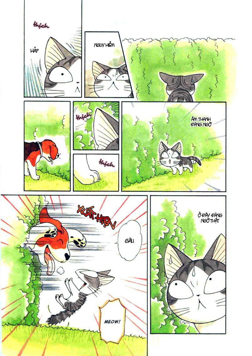 Truyện Tranh Mái Ấm Của Chi - Chii’s Sweet Home trang 3