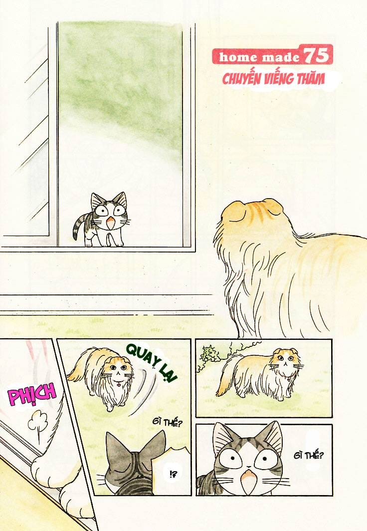 Truyện Tranh Mái Ấm Của Chi - Chii’s Sweet Home trang 3