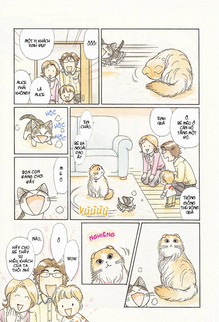 Truyện Tranh Mái Ấm Của Chi - Chii’s Sweet Home trang 3