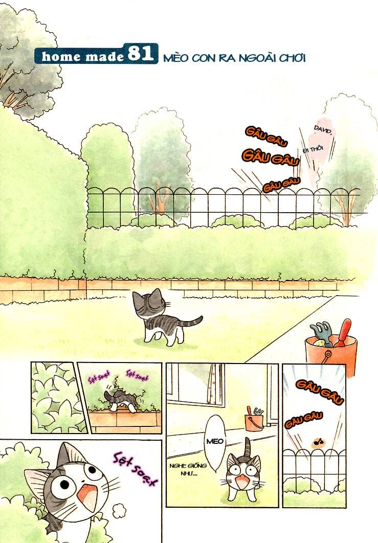 Truyện Tranh Mái Ấm Của Chi - Chii’s Sweet Home trang 3