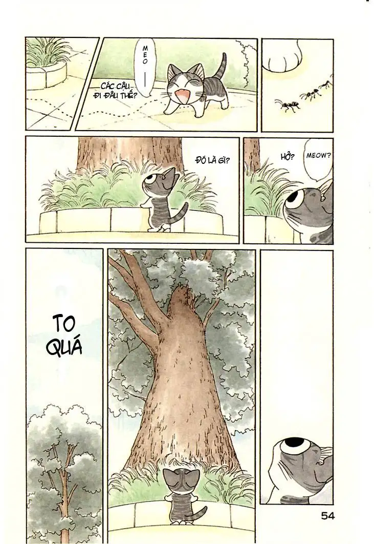 Truyện Tranh Mái Ấm Của Chi - Chii’s Sweet Home trang 3