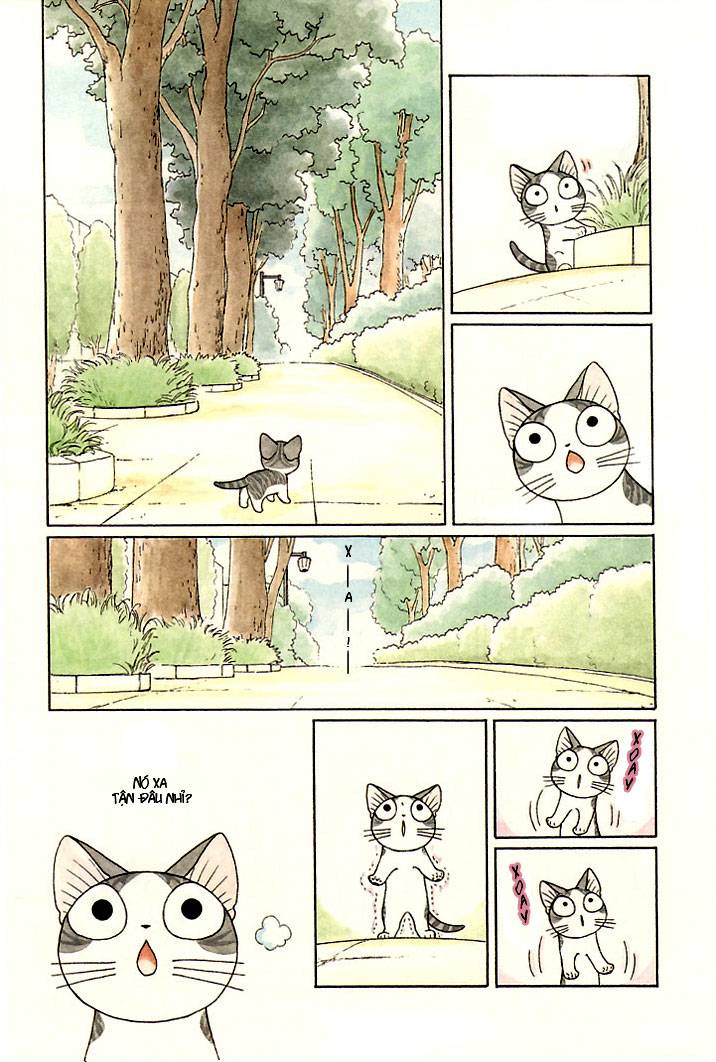 Truyện Tranh Mái Ấm Của Chi - Chii’s Sweet Home trang 3