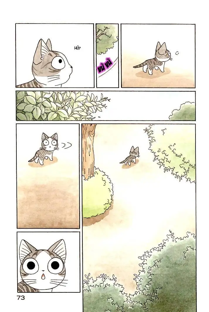 Truyện Tranh Mái Ấm Của Chi - Chii’s Sweet Home trang 3