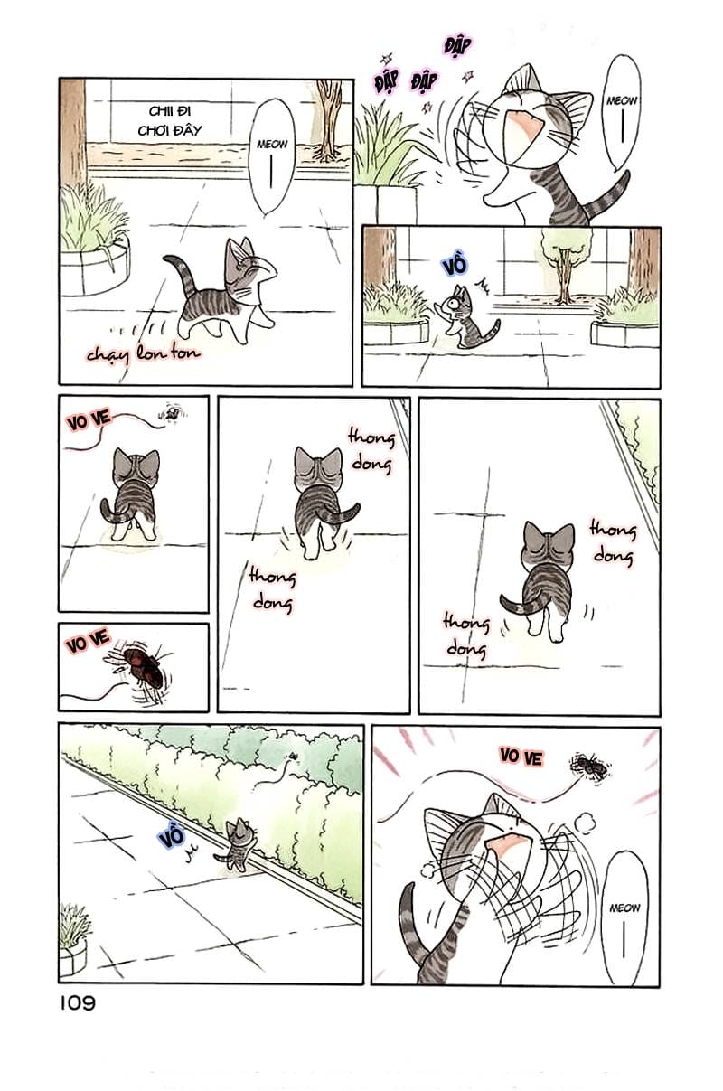 Truyện Tranh Mái Ấm Của Chi - Chii’s Sweet Home trang 3