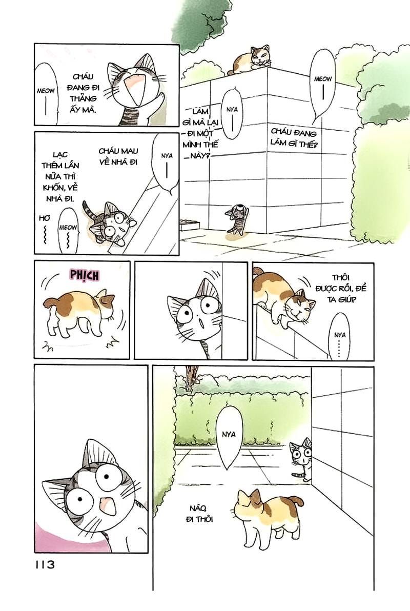 Truyện Tranh Mái Ấm Của Chi - Chii’s Sweet Home trang 3