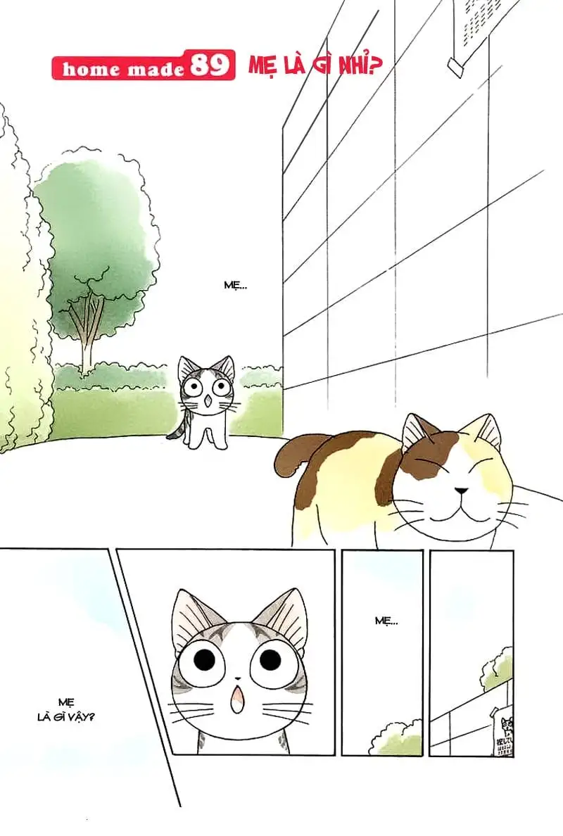 Truyện Tranh Mái Ấm Của Chi - Chii’s Sweet Home trang 3