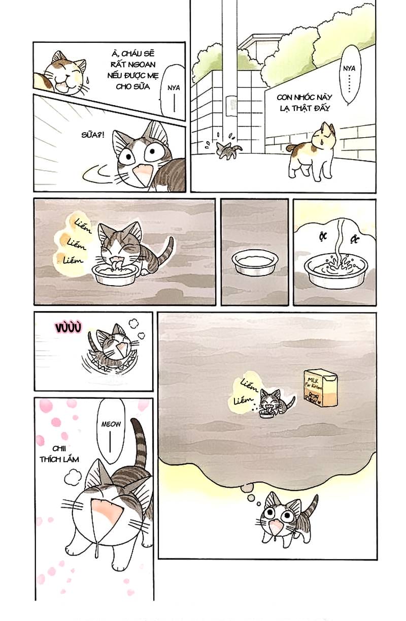 Truyện Tranh Mái Ấm Của Chi - Chii’s Sweet Home trang 3