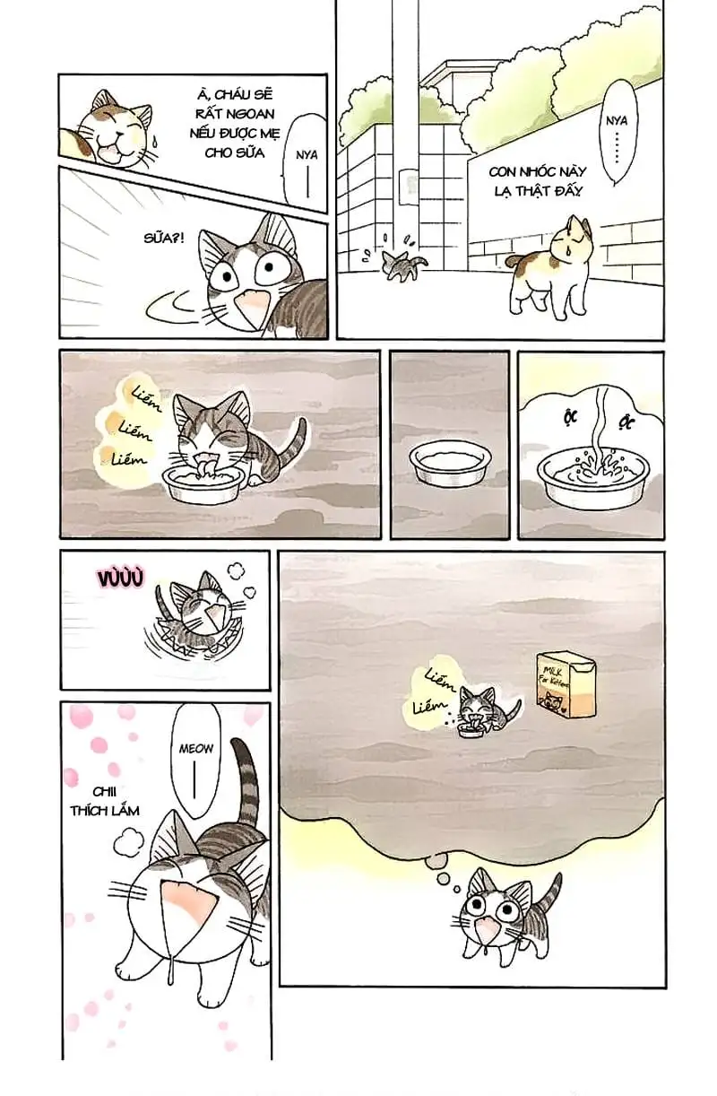 Truyện Tranh Mái Ấm Của Chi - Chii’s Sweet Home trang 3