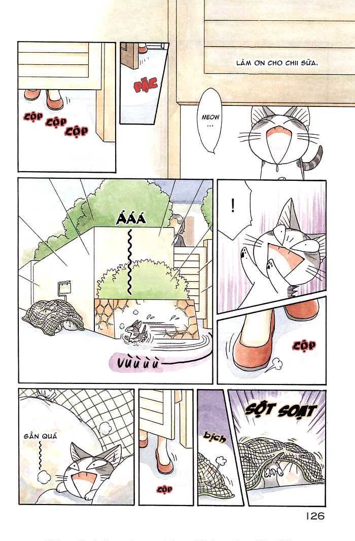 Truyện Tranh Mái Ấm Của Chi - Chii’s Sweet Home trang 3