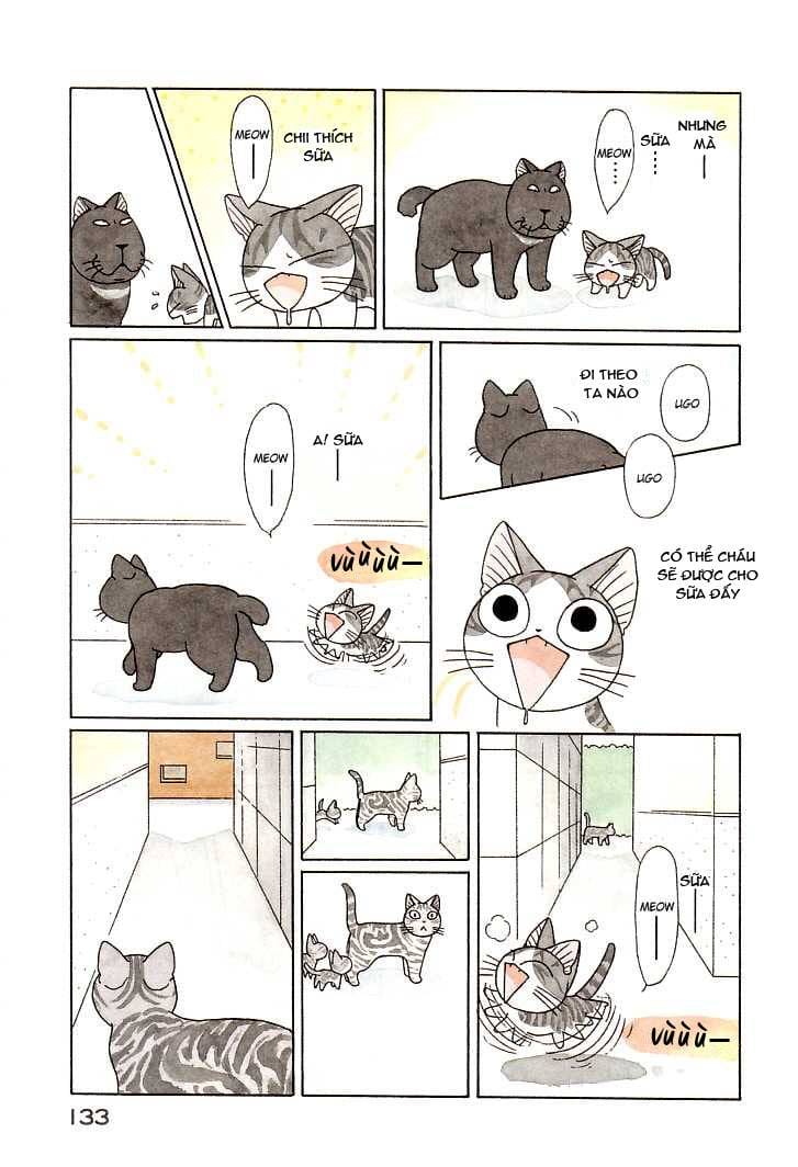 Truyện Tranh Mái Ấm Của Chi - Chii’s Sweet Home trang 3