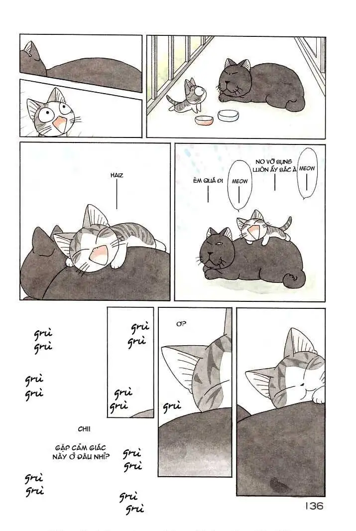 Truyện Tranh Mái Ấm Của Chi - Chii’s Sweet Home trang 3