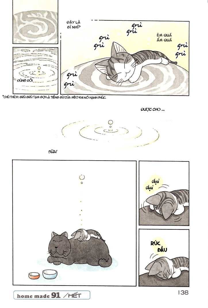 Truyện Tranh Mái Ấm Của Chi - Chii’s Sweet Home trang 3