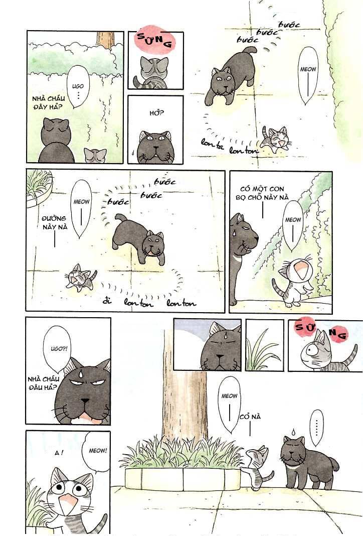 Truyện Tranh Mái Ấm Của Chi - Chii’s Sweet Home trang 3