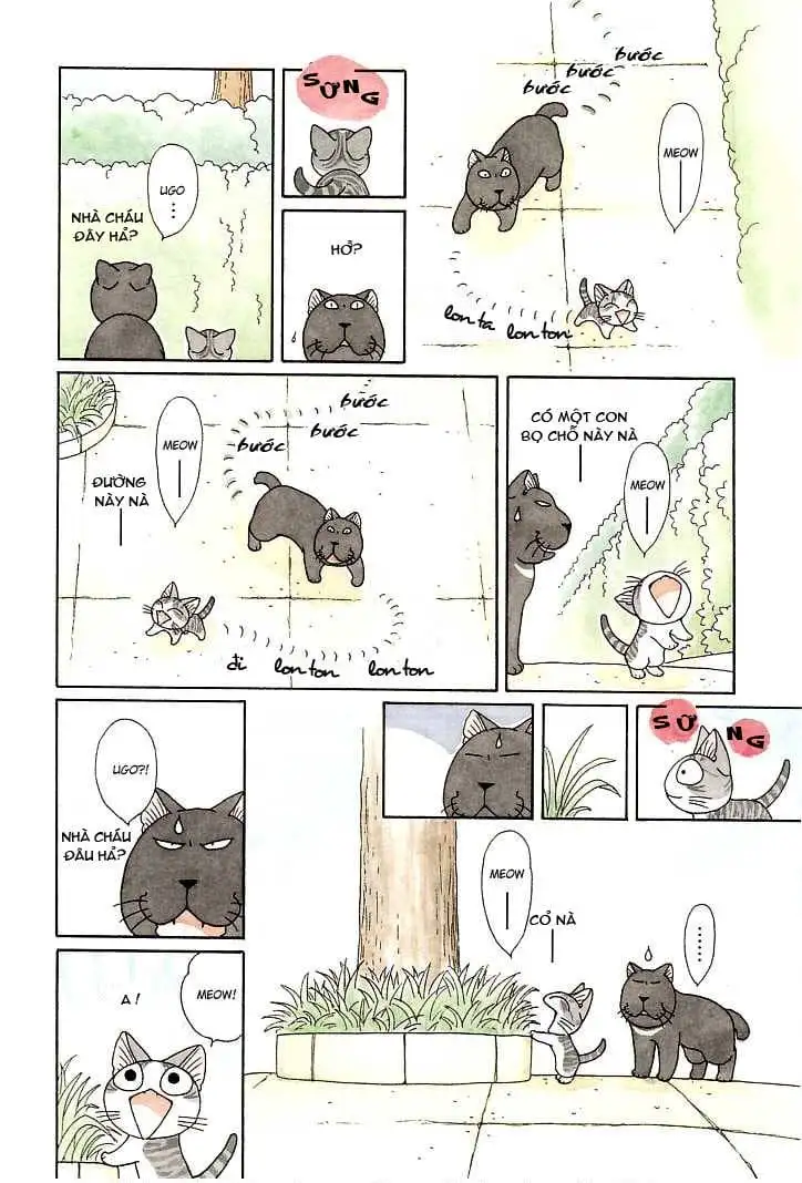Truyện Tranh Mái Ấm Của Chi - Chii’s Sweet Home trang 3