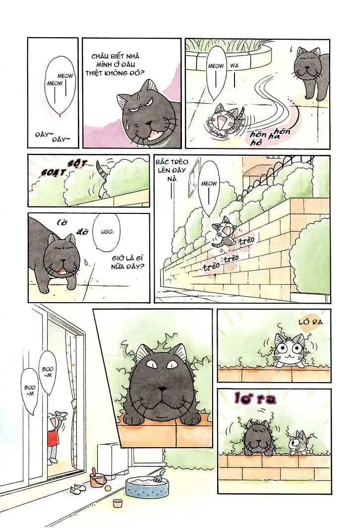 Truyện Tranh Mái Ấm Của Chi - Chii’s Sweet Home trang 3
