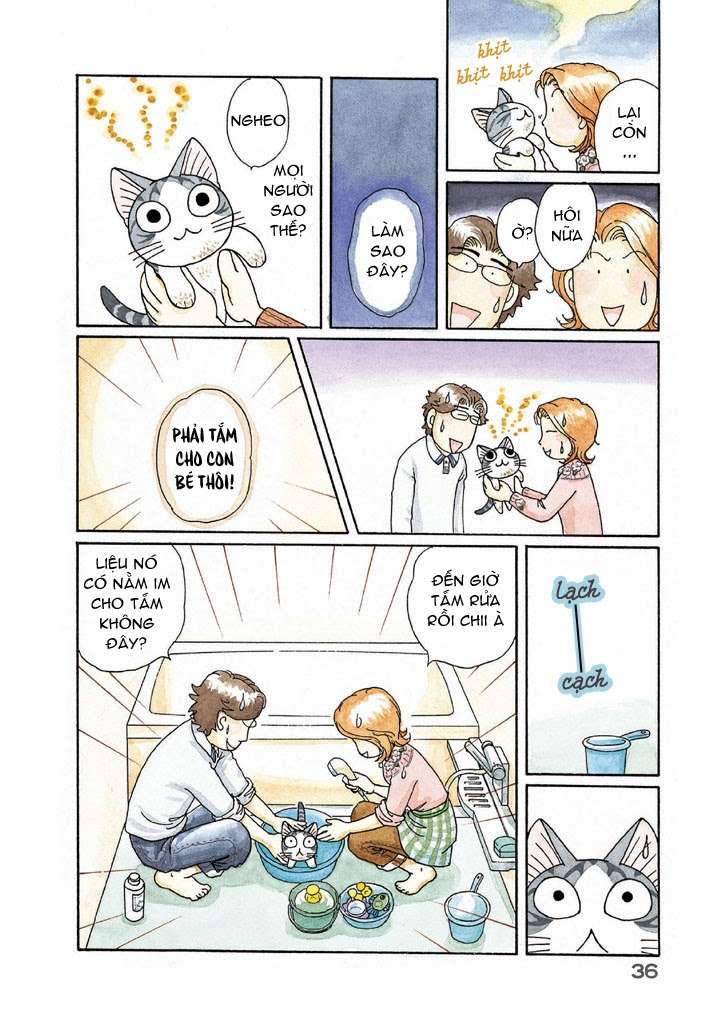 Truyện Tranh Mái Ấm Của Chi - Chii’s Sweet Home trang 3