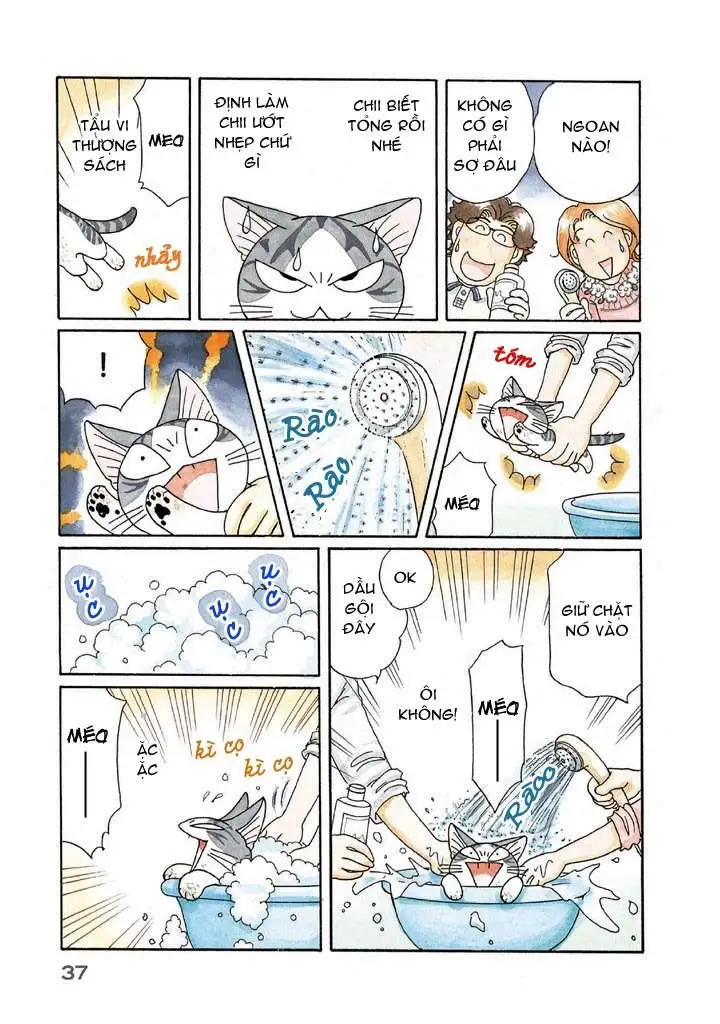 Truyện Tranh Mái Ấm Của Chi - Chii’s Sweet Home trang 3