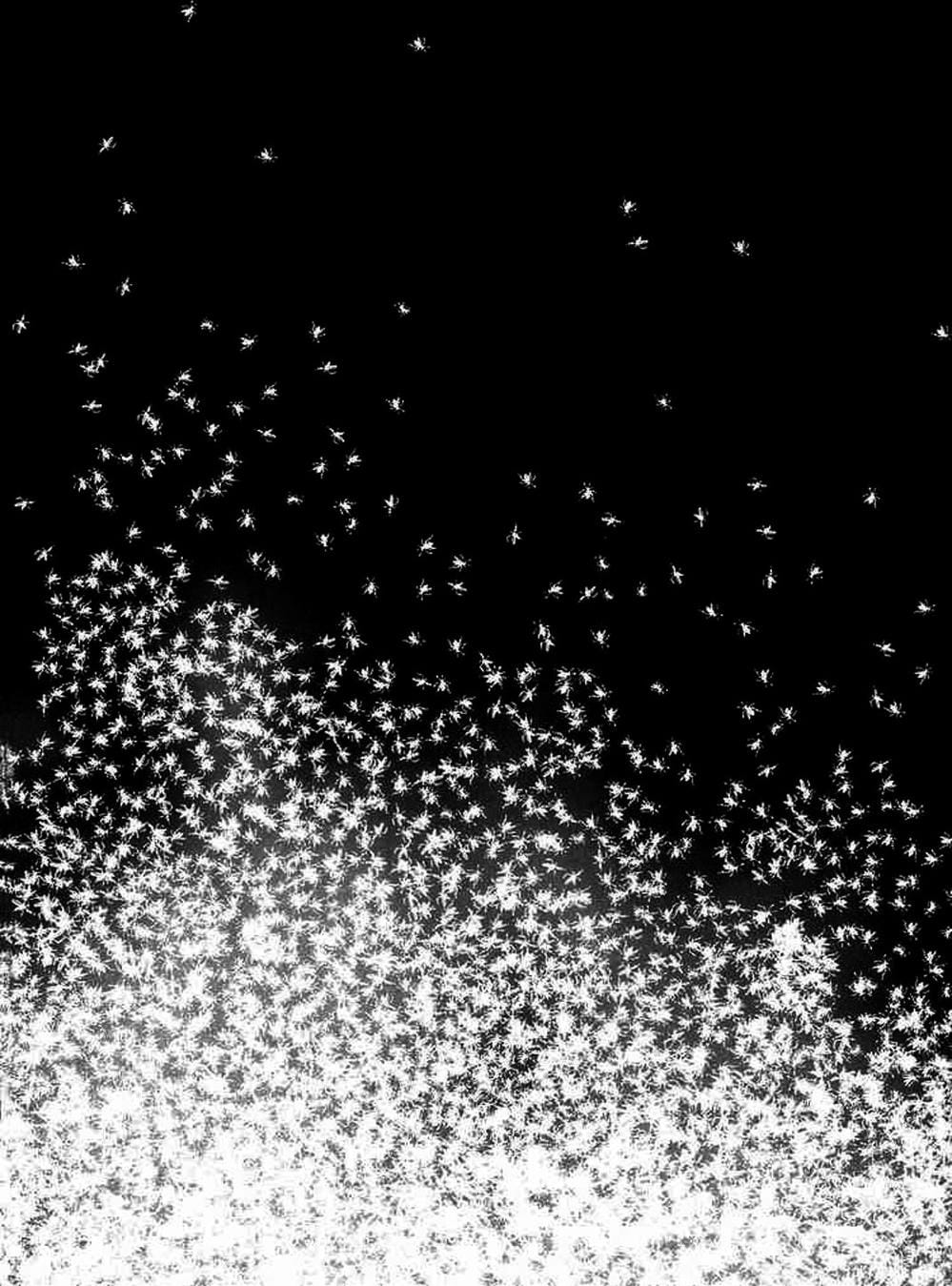 Truyện Tranh Sát Nhân Cống Ngầm - Manhole trang 5