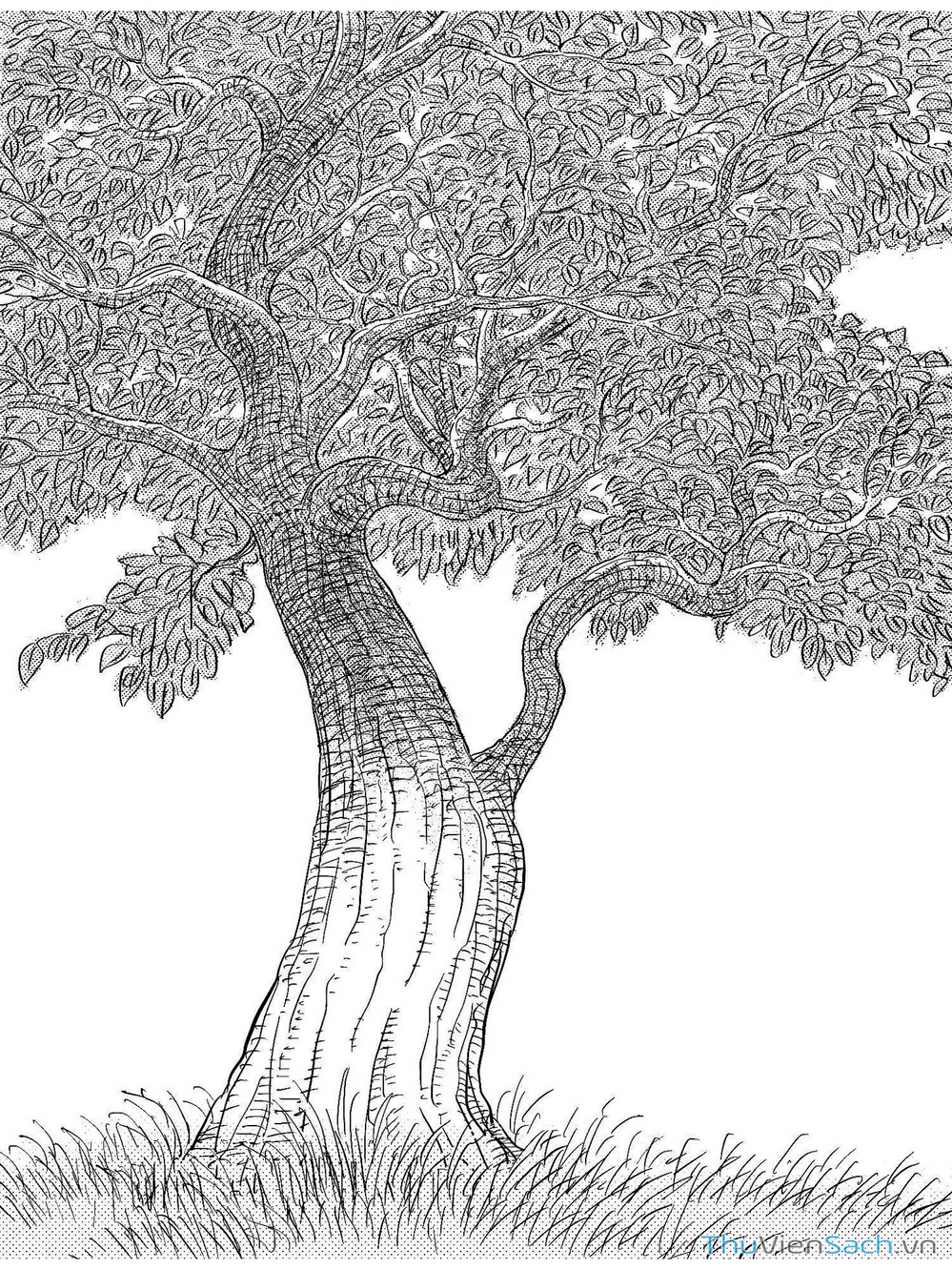 Truyện Tranh Miệng Đồng Mười Trượng trang 1