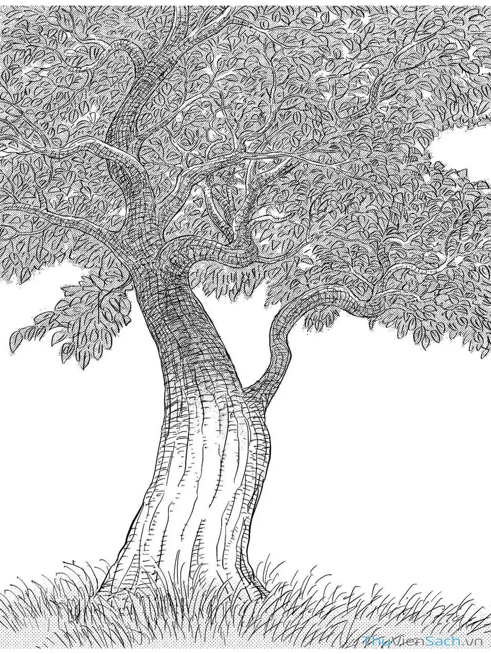 Truyện Tranh Miệng Đồng Mười Trượng trang 1