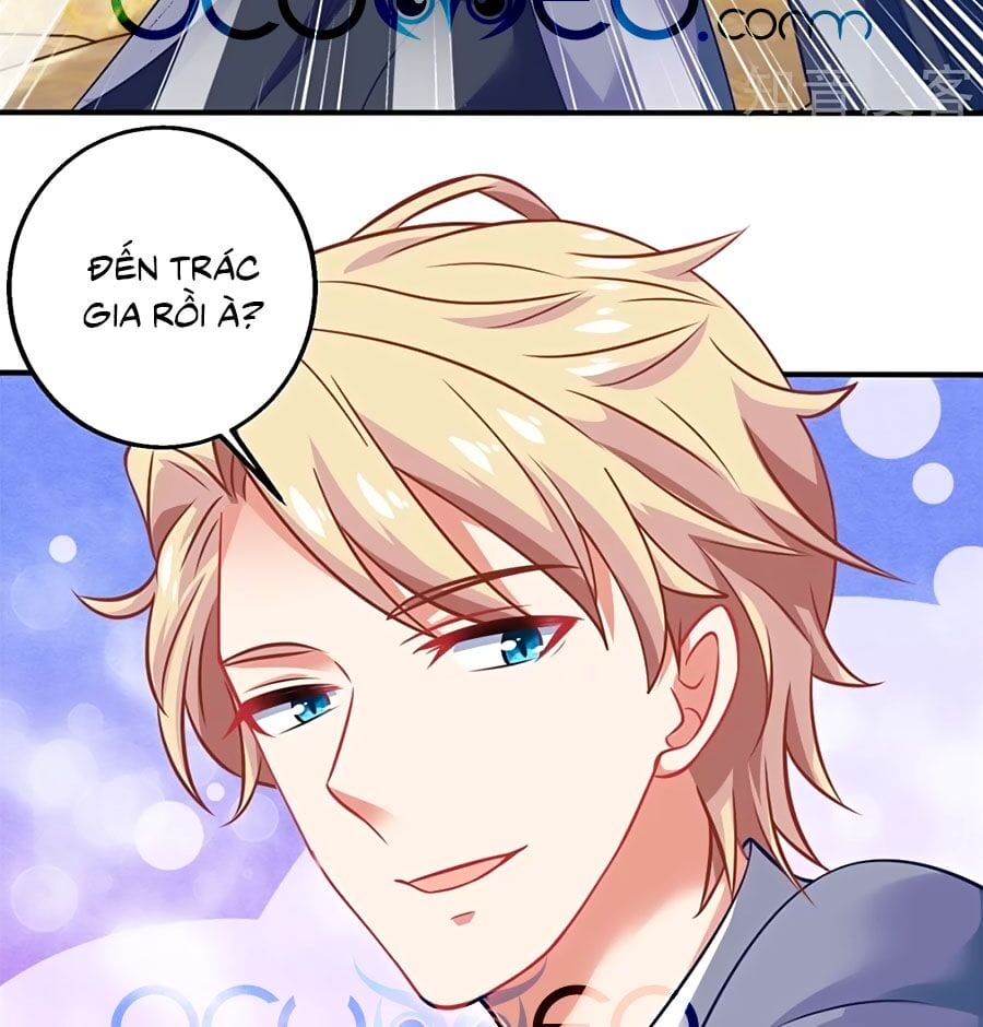 Truyện Tranh Một Thai Hai Bảo: Đưa Mami Về Nhà! trang 4