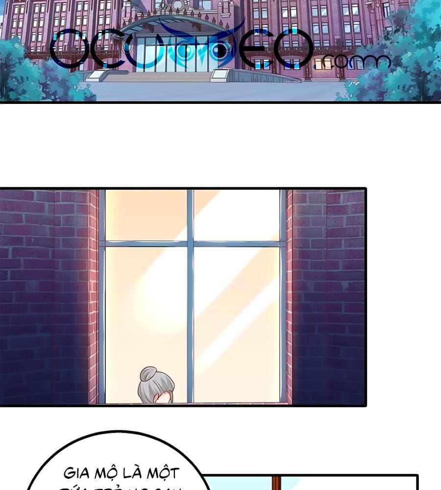 Truyện Tranh Một Thai Hai Bảo: Đưa Mami Về Nhà! trang 4