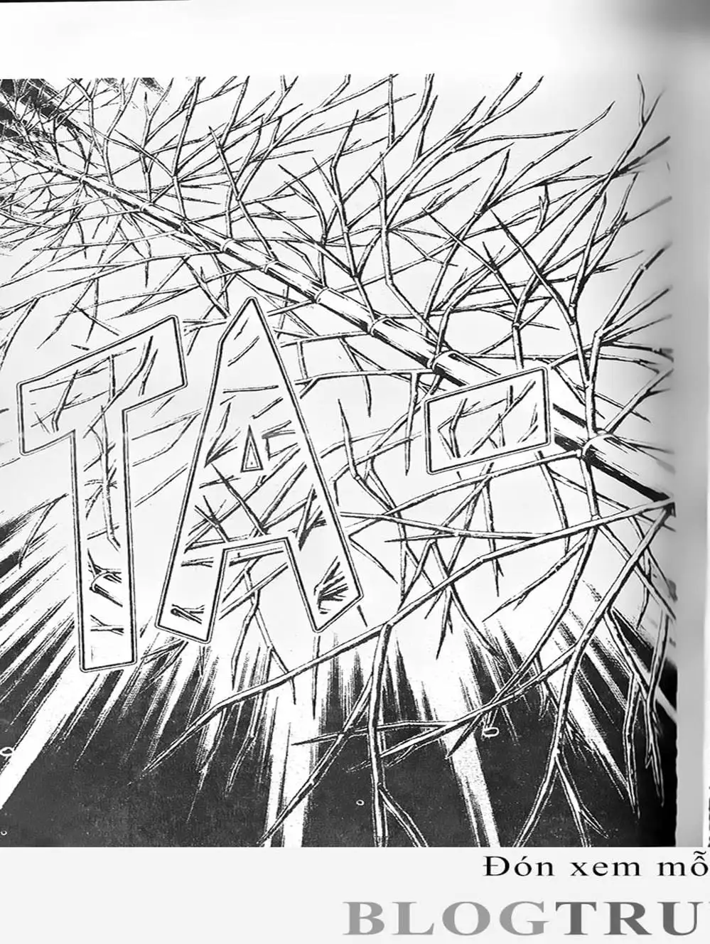 Truyện Tranh Cú Đánh Toàn Lực - Mr. Fullswing trang 3