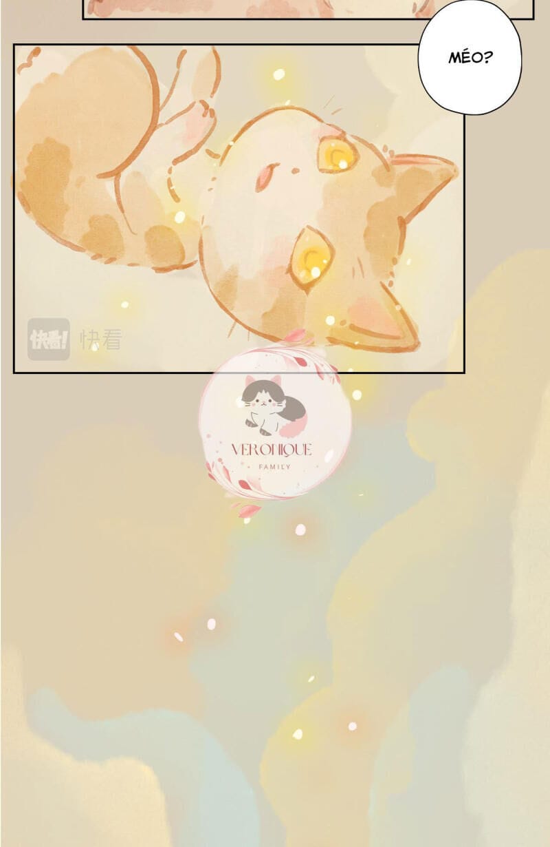 Truyện Tranh Ngũ Miêu trang 4