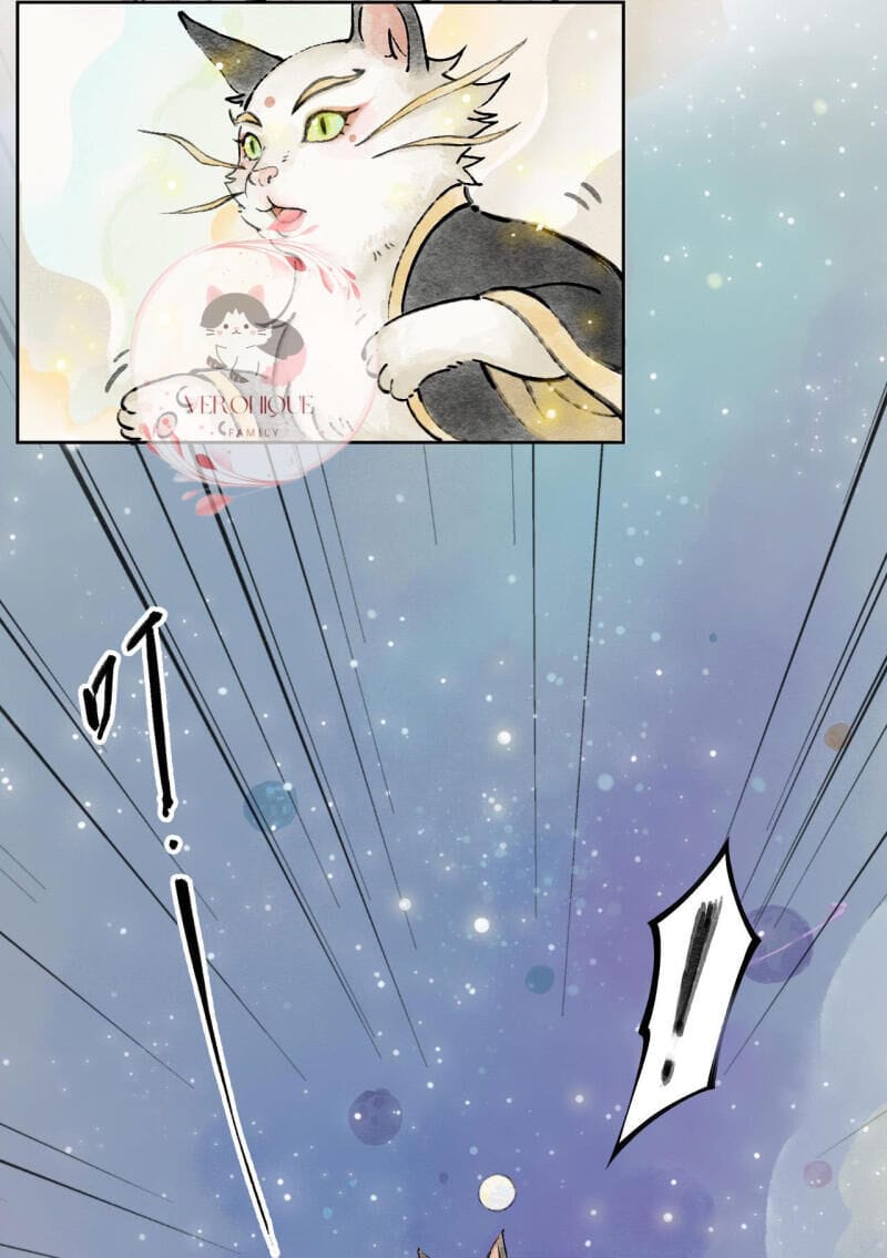 Truyện Tranh Ngũ Miêu trang 4