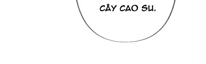 Truyện Tranh Người Hùng Của Ác Nữ - The Devil Lady’s Hero trang 6