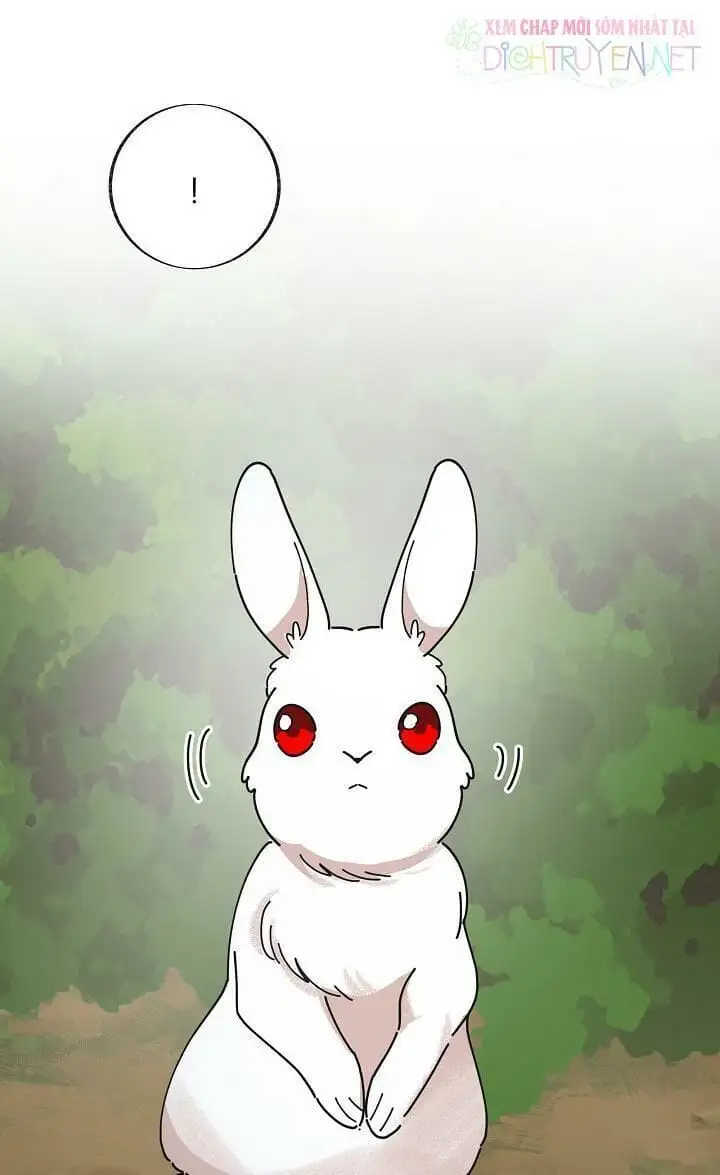 Truyện Tranh Người Hùng Của Ác Nữ - The Devil Lady’s Hero trang 6