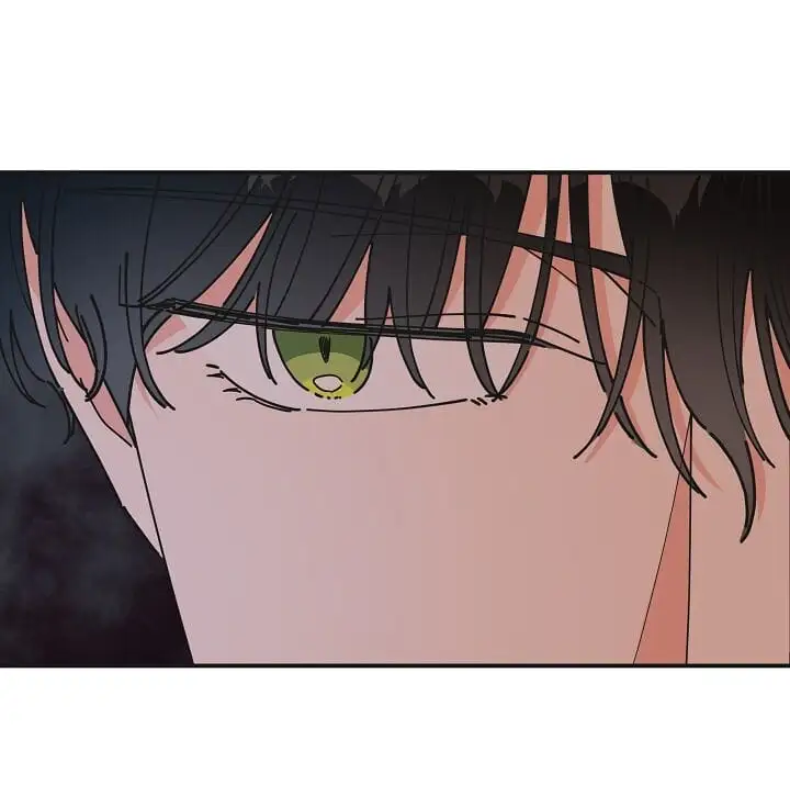 Truyện Tranh Người Hùng Của Ác Nữ - The Devil Lady’s Hero trang 6