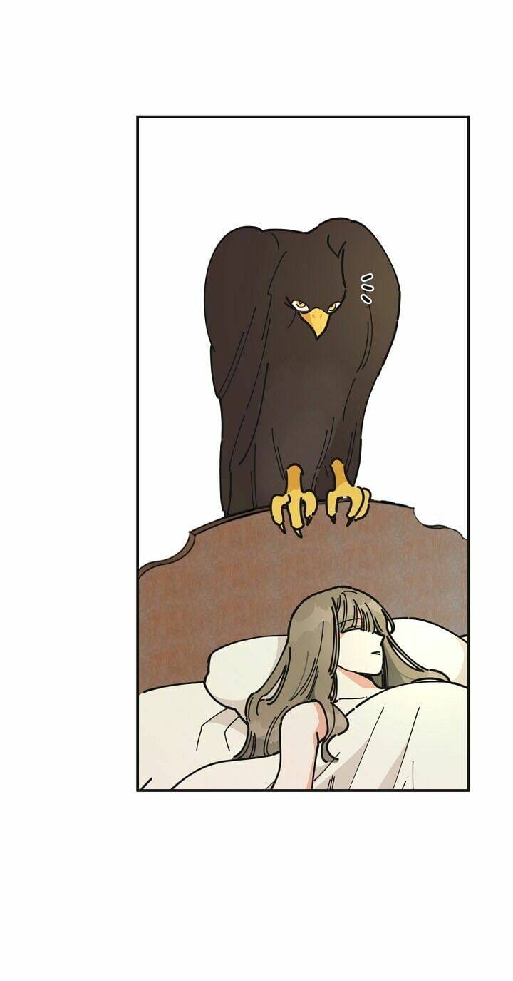 Truyện Tranh Người Hùng Của Ác Nữ - The Devil Lady’s Hero trang 6