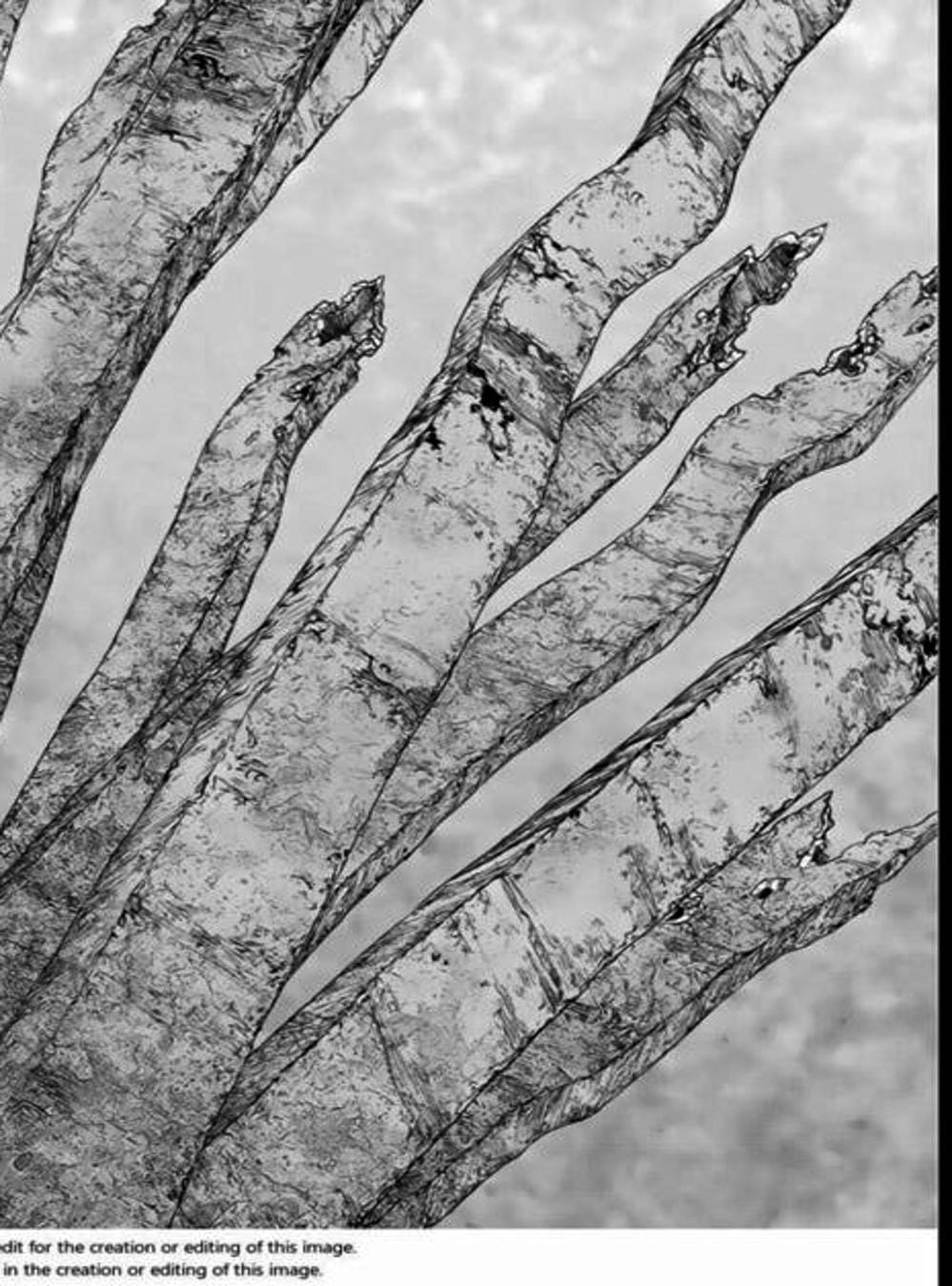 Truyện Tranh Nguyên Bản - Origin trang 7