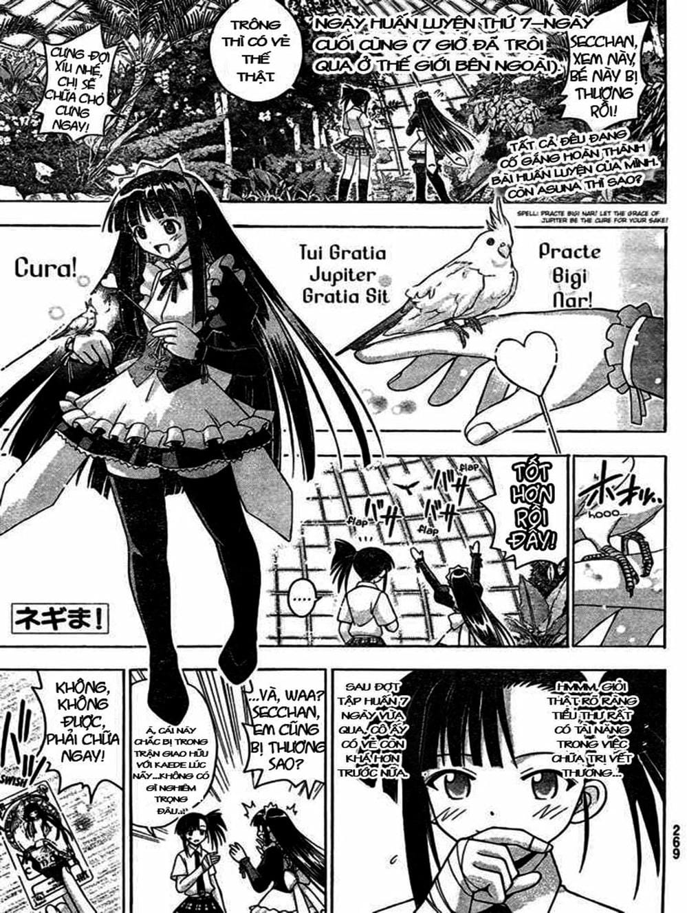 Truyện Tranh Pháp Sư Tí Hon Negima - Mahou Sensei Negima! trang 10